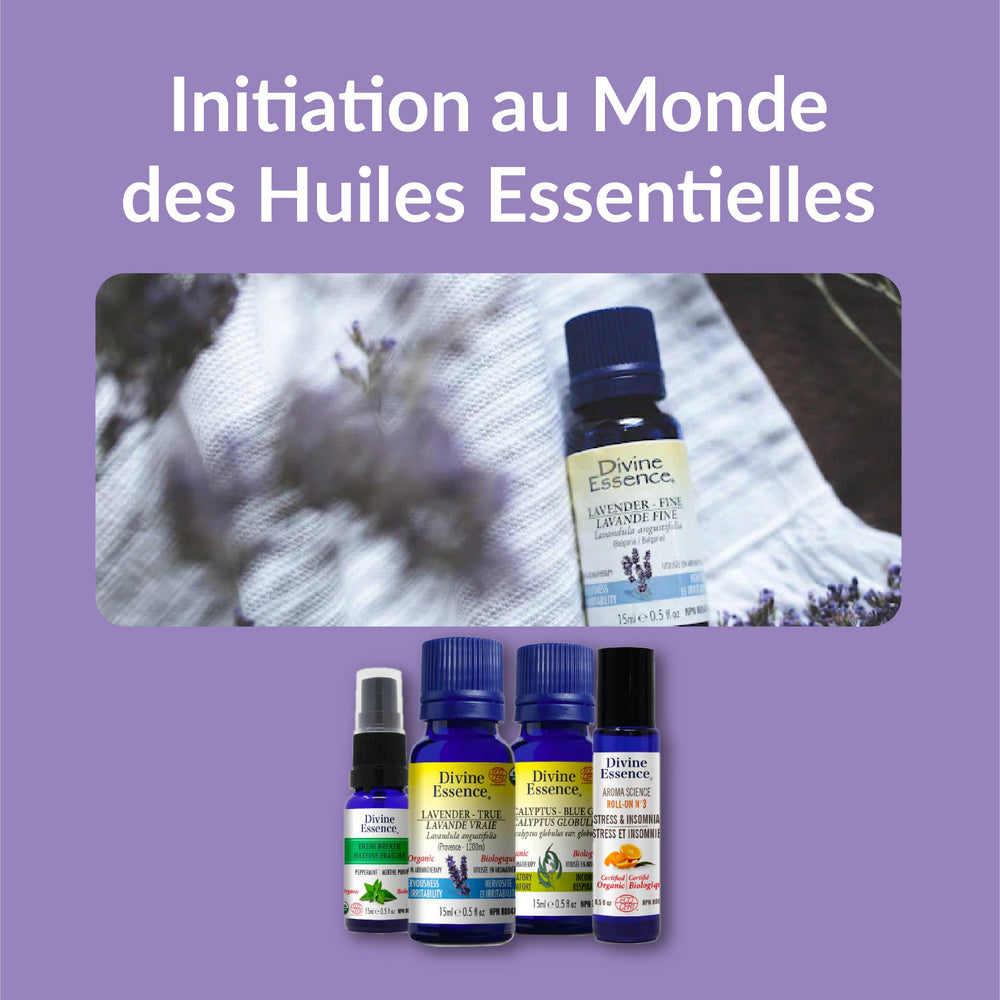 Initiation au Monde des Huiles Essentielles Image