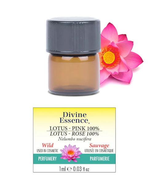 Lotus Rose 100% Absolue sauvage