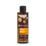 Shampooing nutrition - cheveux secs, rêches & indisciplinés image 1