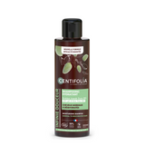 Shampooing hydratant - cheveux normaux à déshydratés image 1