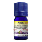 Géranium Bourbon Bio. image 1