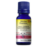 Sauge Officinale Bio. image 2