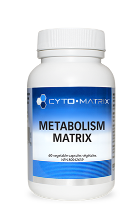 Metabolism Matrix Image
