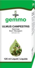 Ulmus campestris  Image