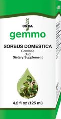 Sorbus domestica  Image