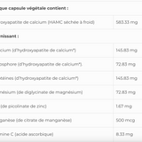 Osteo SAP image 4